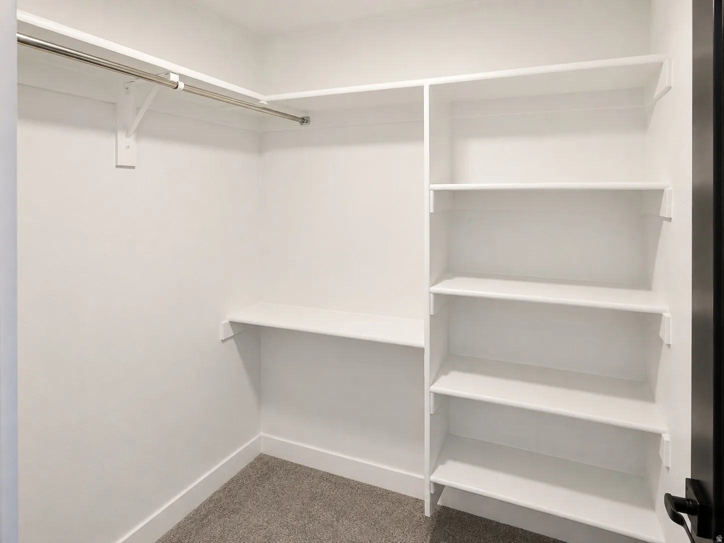 Walk-in closet featuring white built-in shelving, a hanging rod, a lower shelf, and grey carpet flooring