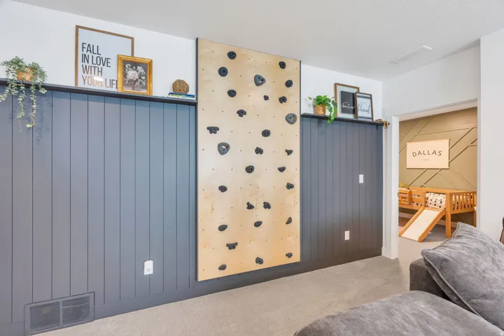Feature wall with a built-in climbing panel, dark vertical paneling, and a light-colored carpet
