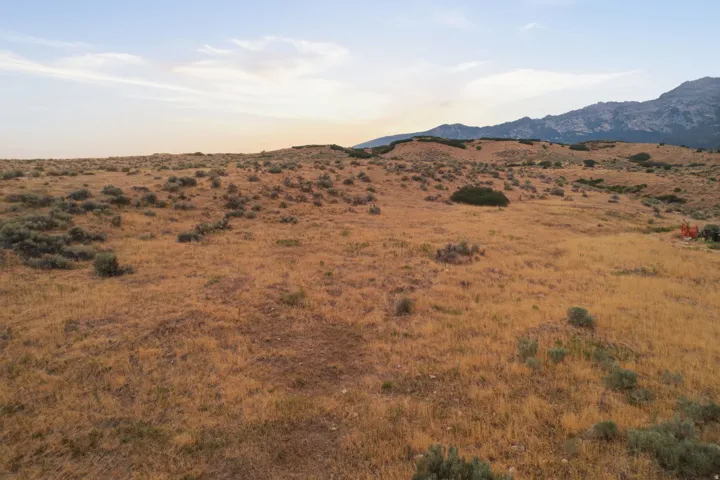 Expansive open land featuring diverse natural vegetation and distant mountain ranges