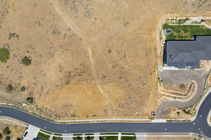Expansive undeveloped lot featuring natural vegetation, a curved street frontage with sidewalk, and direct street access