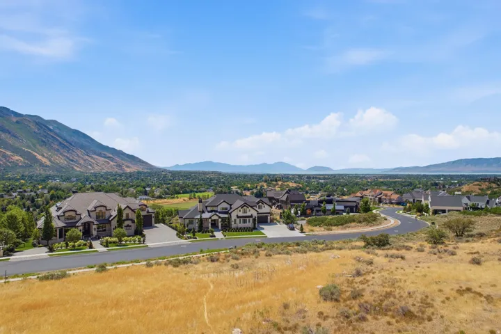 Expansive residential street with multiple properties featuring mature landscaping, paved roadways, and a backdrop of distant mountains