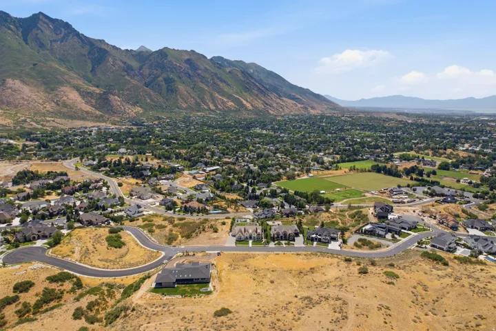 Expansive residential area featuring established homes, paved streets, and undeveloped land
