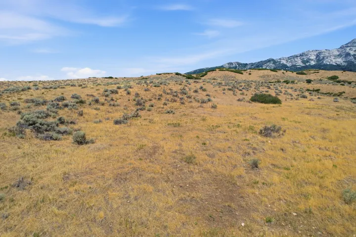 Expansive landscape featuring natural grasses and scattered low-lying shrubs