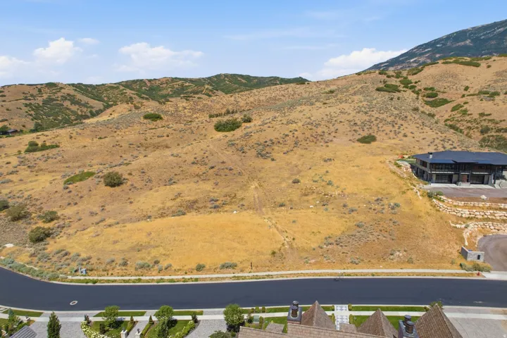 Expansive undeveloped hillside lot with natural vegetation