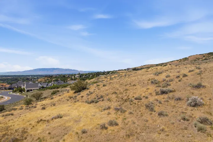Expansive natural hillside terrain with a distant cityscape and mountain backdrop