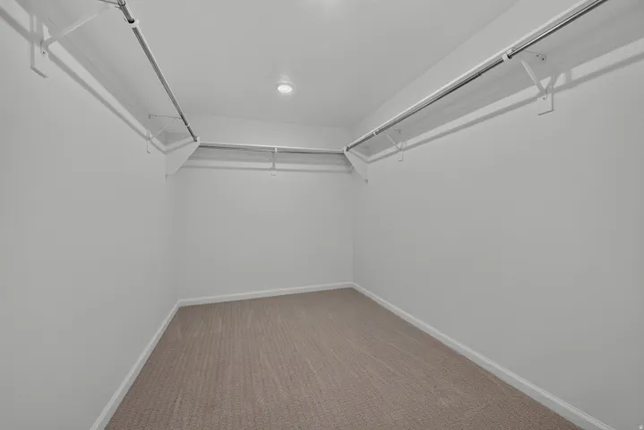Spacious closet featuring white walls, baseboards, recessed lighting, and carpet flooring