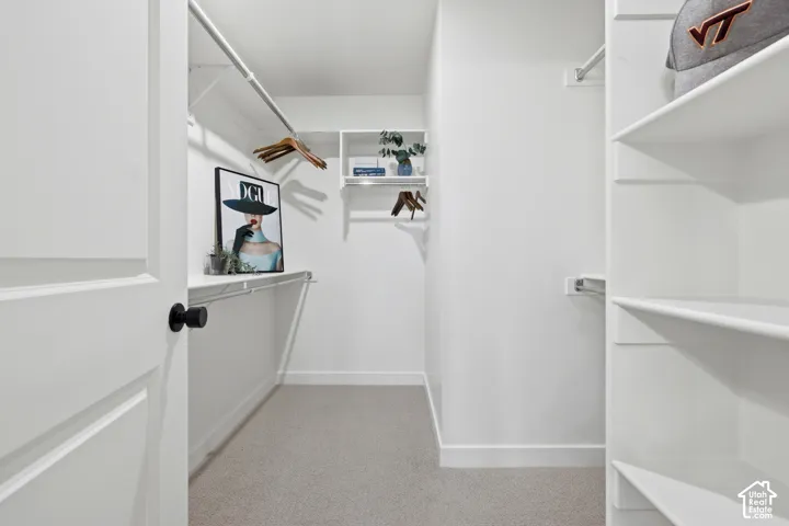 Walk-in closet featuring white walls, light gray carpet, multiple built-in shelving units, and clothing rods