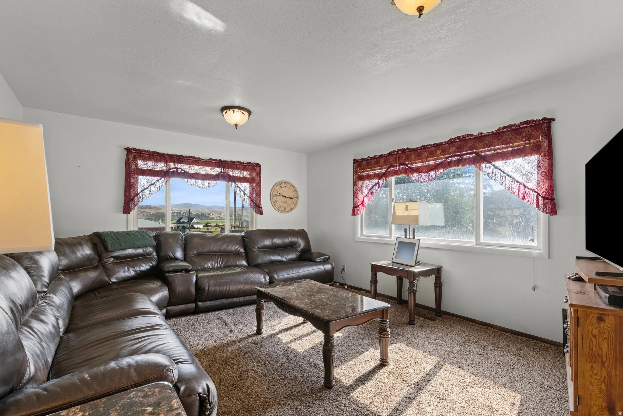 Carpeted living area featuring white walls and two windows providing natural light