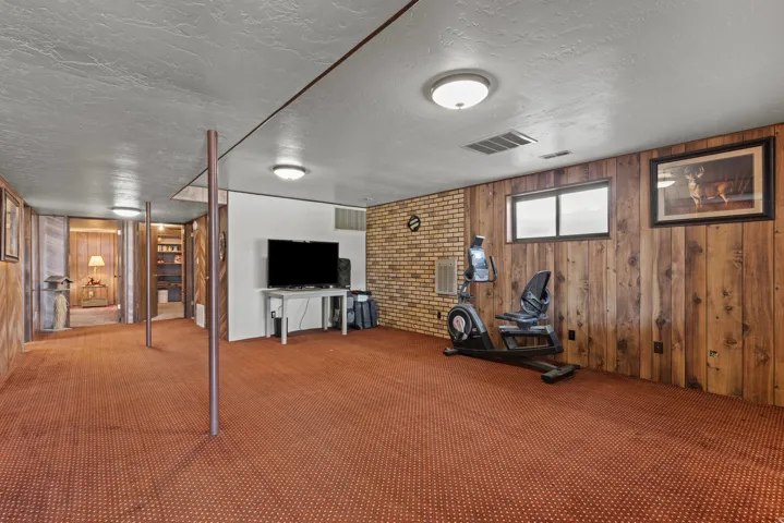 Expansive carpeted room featuring a mix of wood paneling and brick accent walls