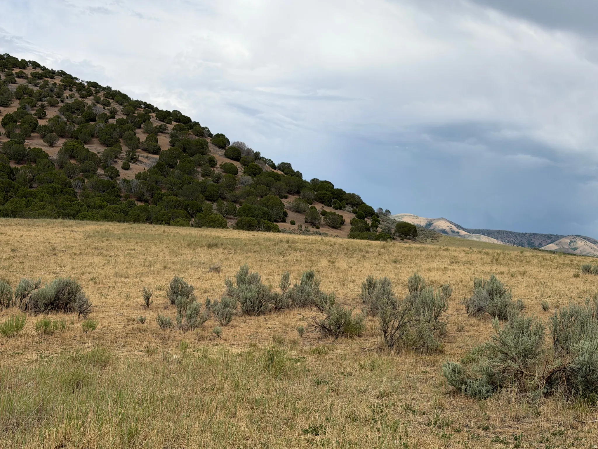 Expansive natural terrain featuring a gently sloping hillside, scattered low-lying vegetation, and distant mountain ranges under an open sky