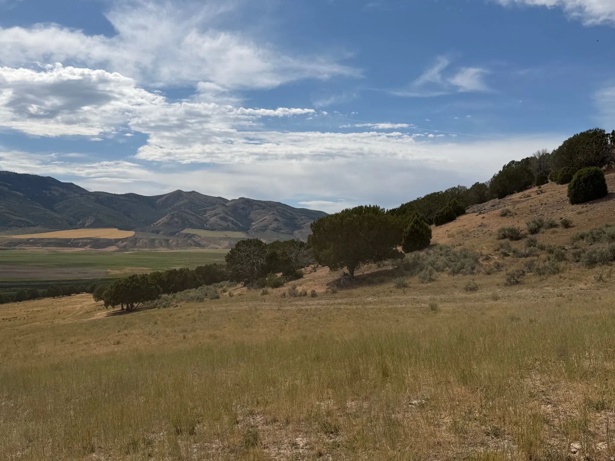 Expansive natural landscape featuring rolling hills and distant mountains