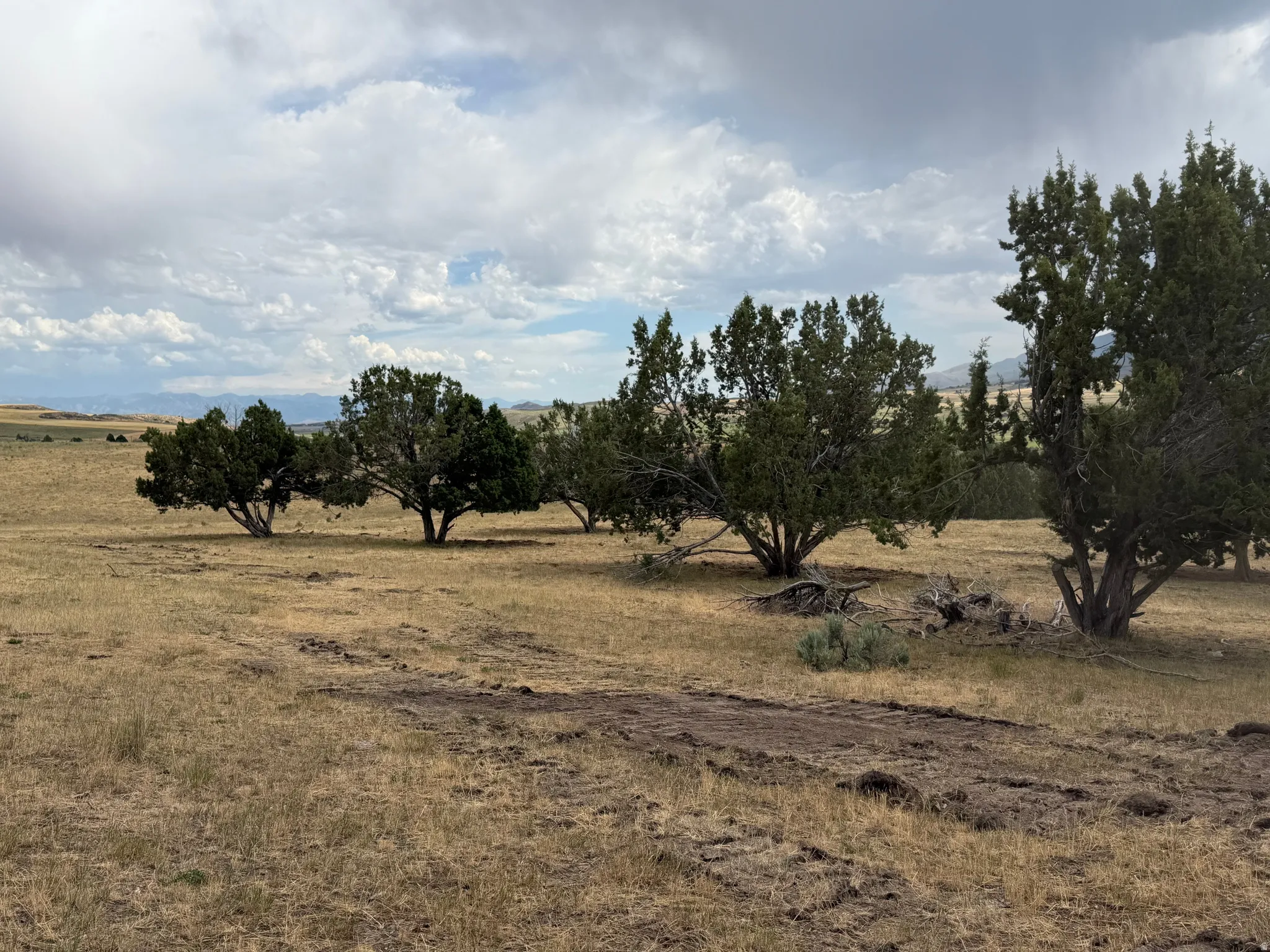Expansive land parcel featuring natural topography, scattered mature trees, and distant mountain ranges under a partly cloudy sky