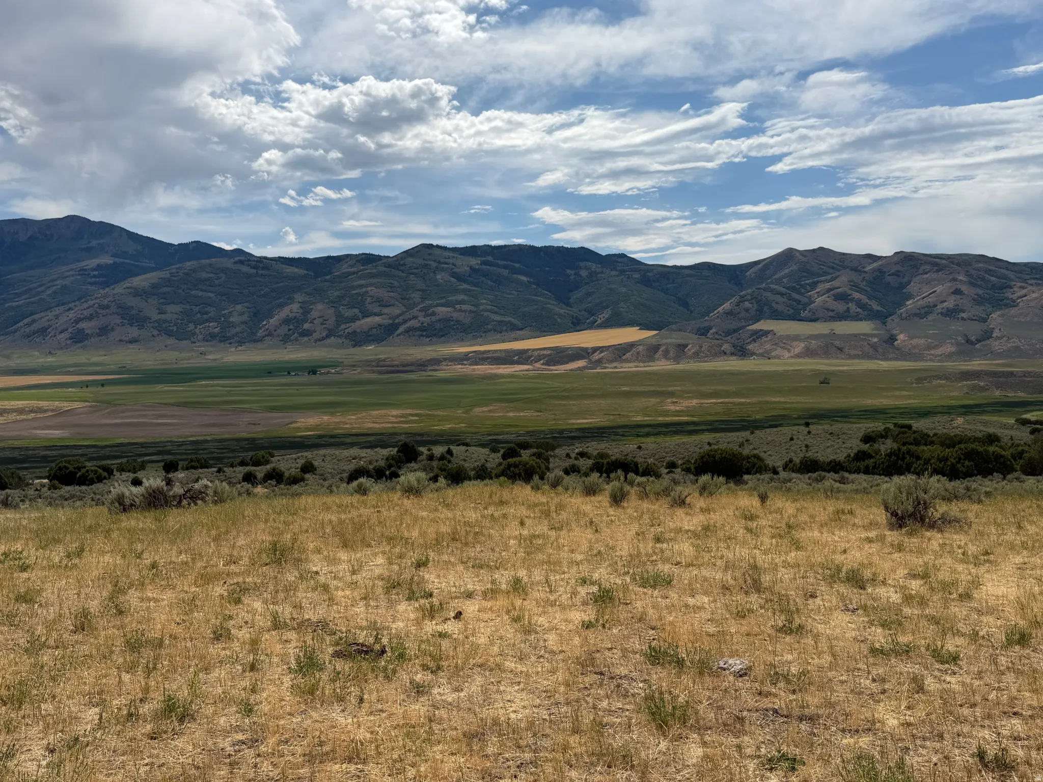 Expansive natural landscape featuring rolling hills and distant mountains under a dynamic sky