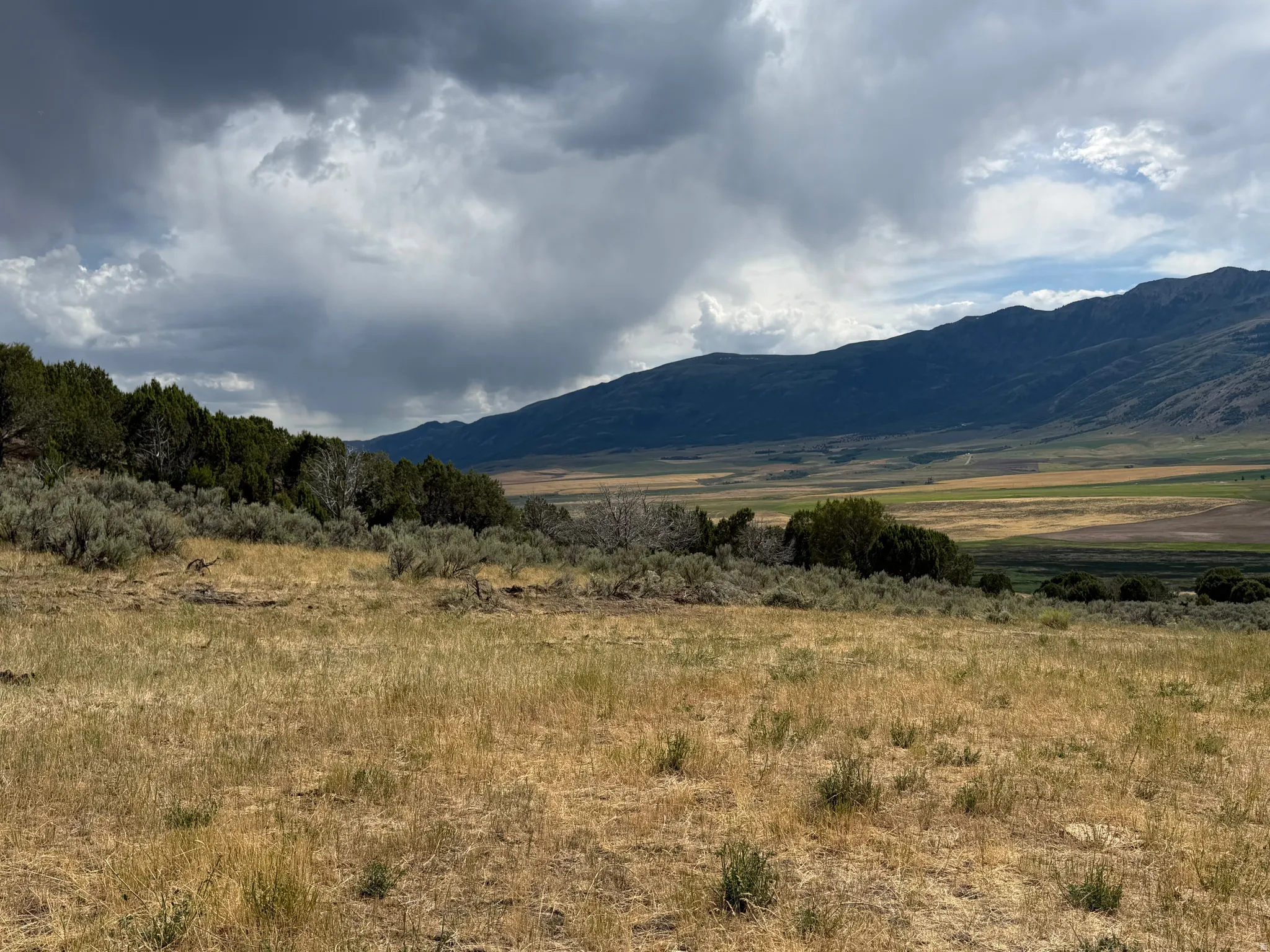 Expansive natural landscape featuring varied terrain, including a grassy foreground, dense shrubbery, and mature trees