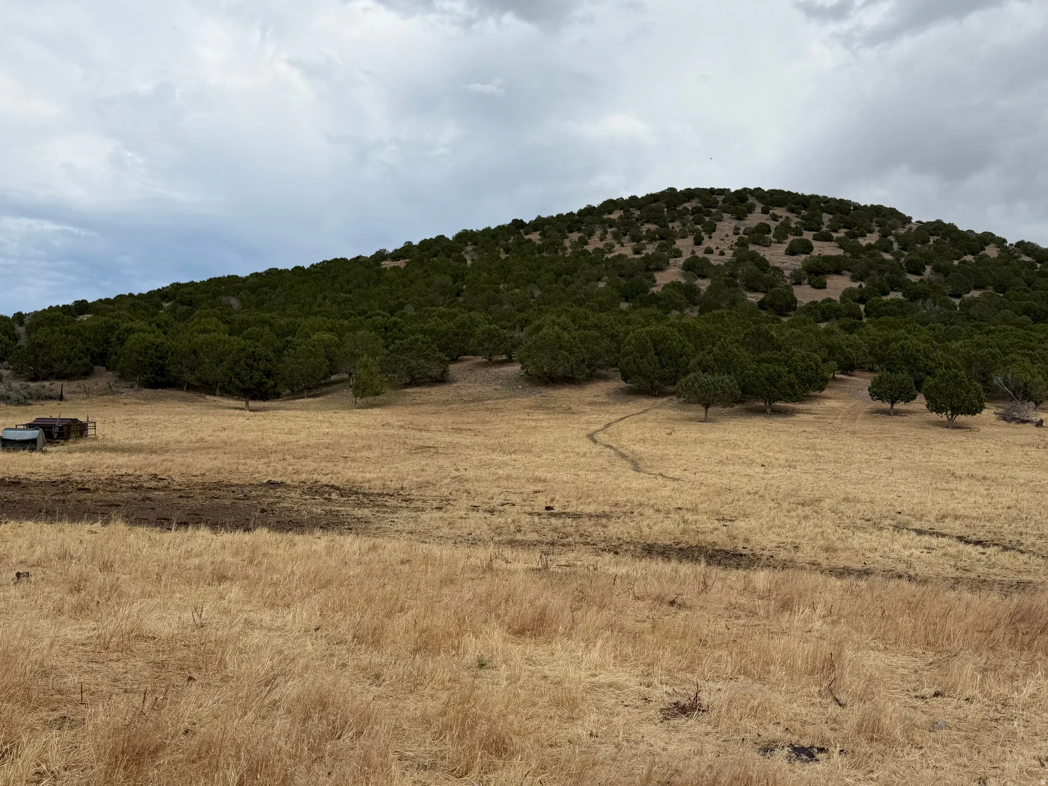 Expansive land parcel featuring a tree-covered hillside, golden natural grasses, and a small, rustic outbuilding
