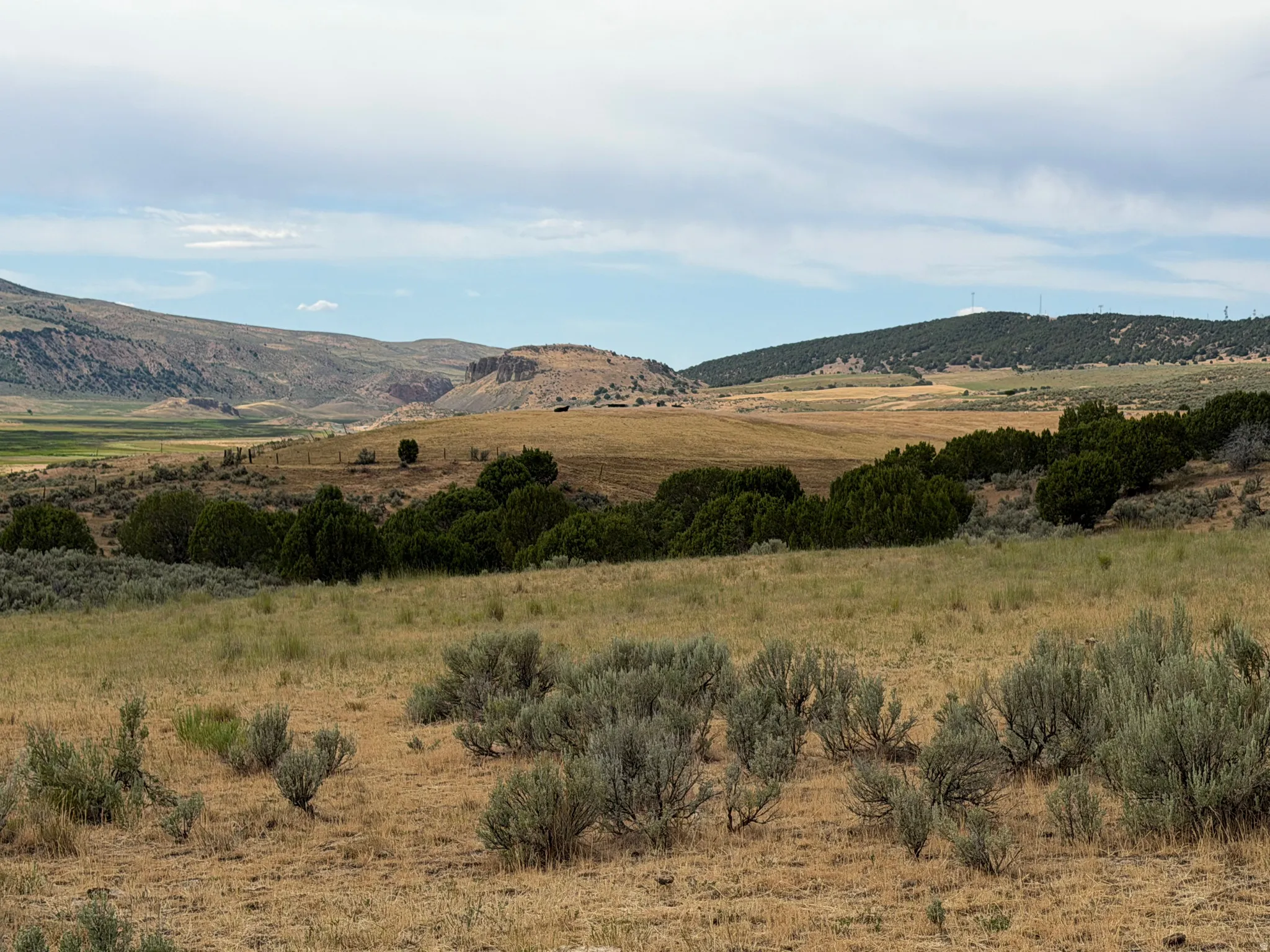 Mountain view