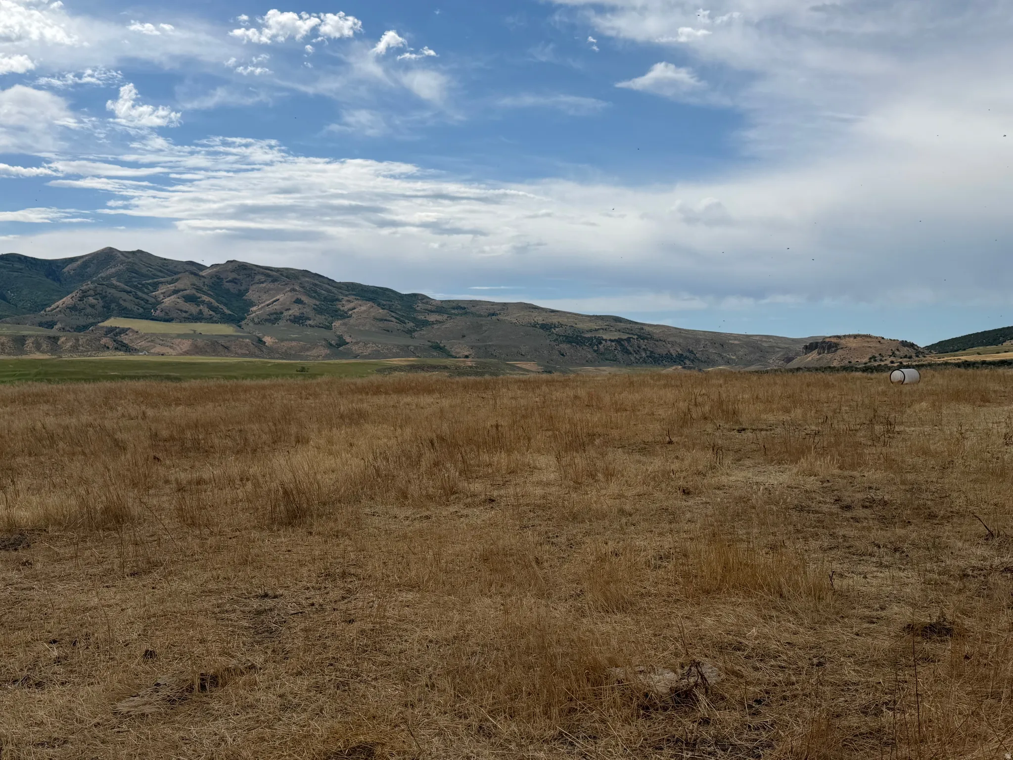 Expansive open land featuring natural grass and distant mountains