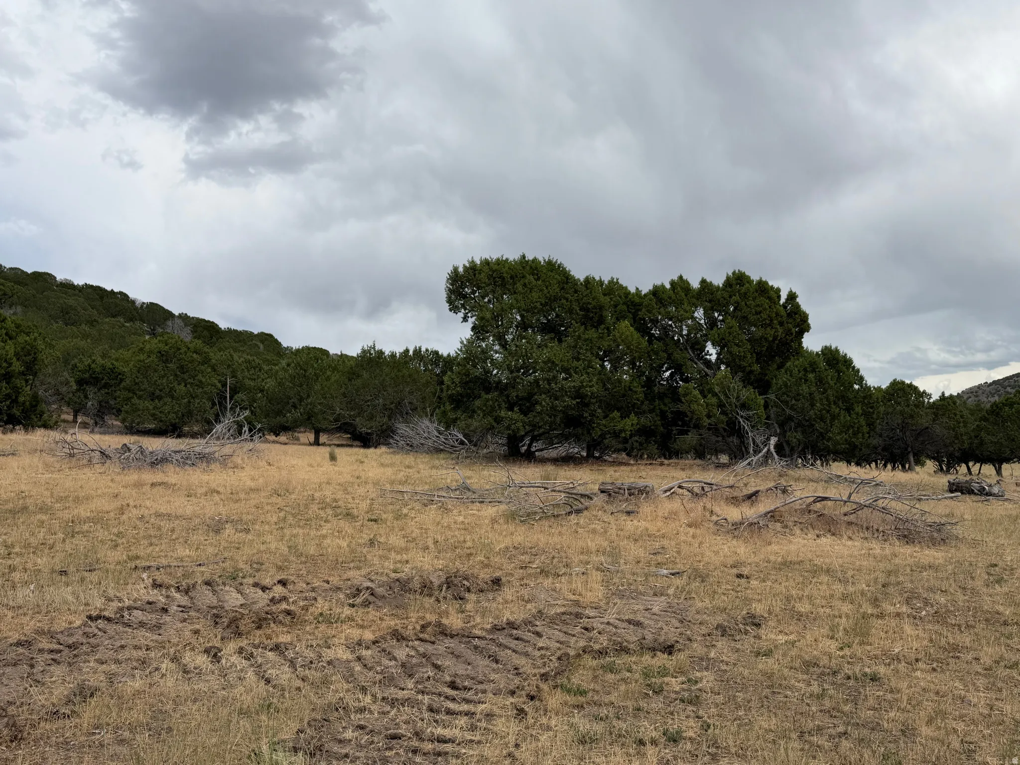 Expansive land parcel featuring natural topography, mature trees, and open fields