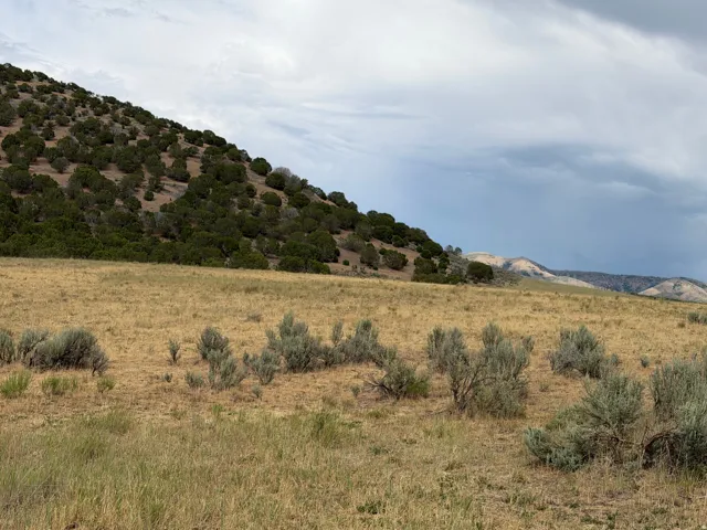 Expansive natural terrain featuring a gently sloping hillside, scattered low-lying vegetation, and distant mountain ranges under an open sky