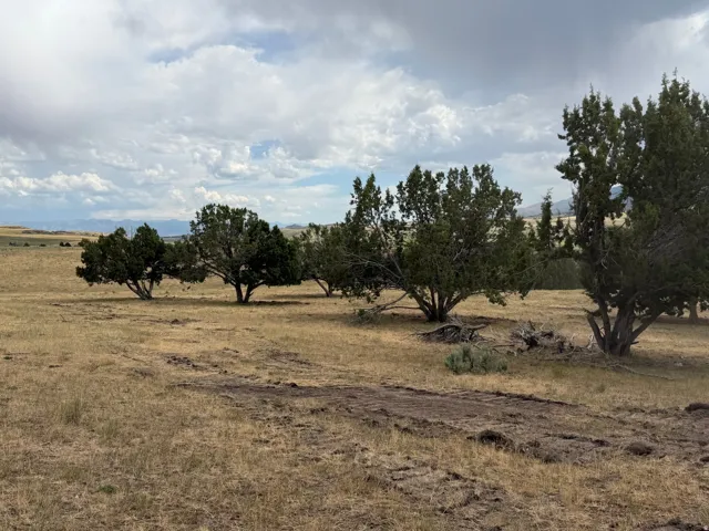 Expansive land parcel featuring natural topography, scattered mature trees, and distant mountain ranges under a partly cloudy sky