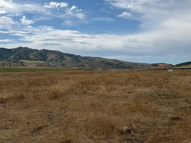 Expansive open land featuring natural grass and distant mountains