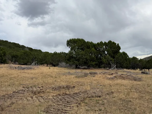 Expansive land parcel featuring natural topography, mature trees, and open fields