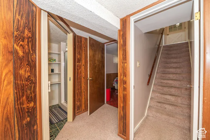Wood-paneled hallway featuring a carpeted staircase with a wood handrail, a doorway leading to an additional space, and a partial view of a shower enclosure with built-in shelving