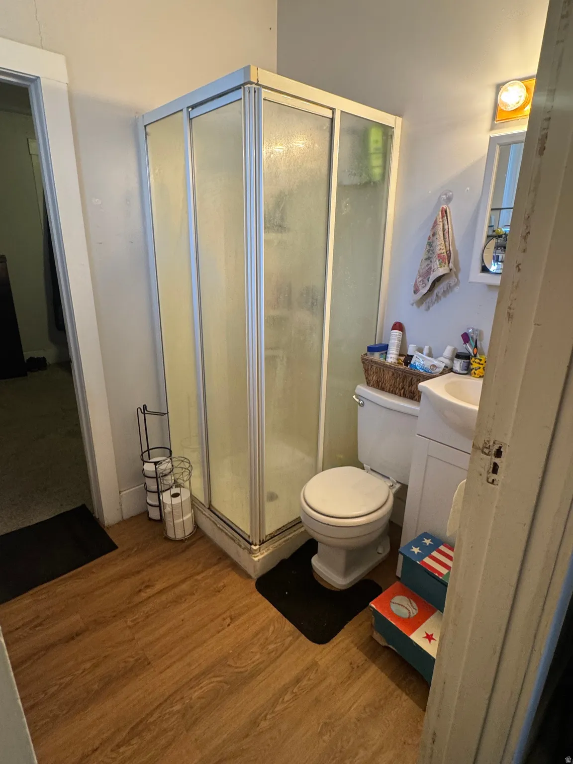 Compact bathroom featuring a stand-alone shower enclosure with frosted glass panels, wood-finish flooring, a white toilet, and a vanity with an integrated sink