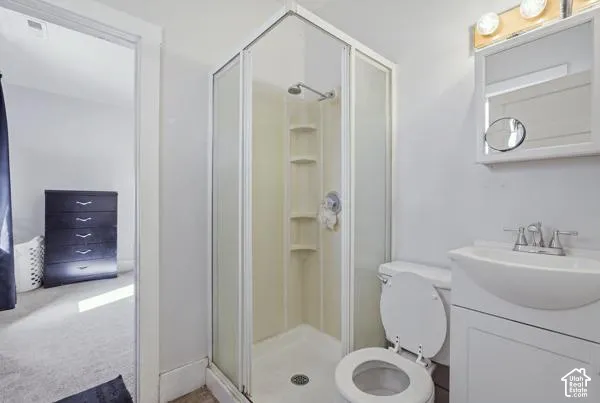 Shower stall with built-in shelving, white toilet, vanity with integrated sink, and wall-mounted medicine cabinet
