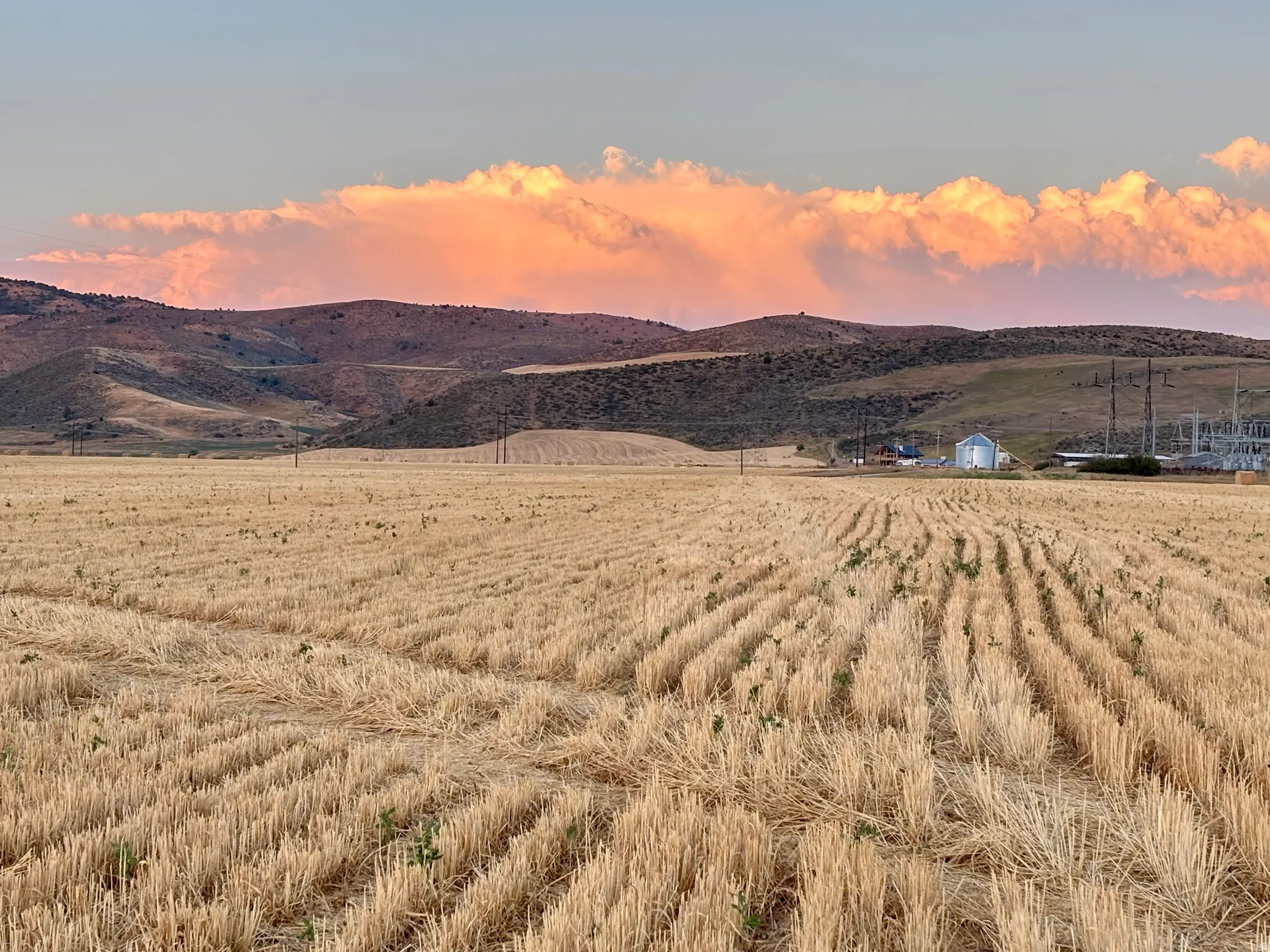 Expansive agricultural field featuring golden stubble rows extending towards distant hills under a scenic sky with dramatic clouds