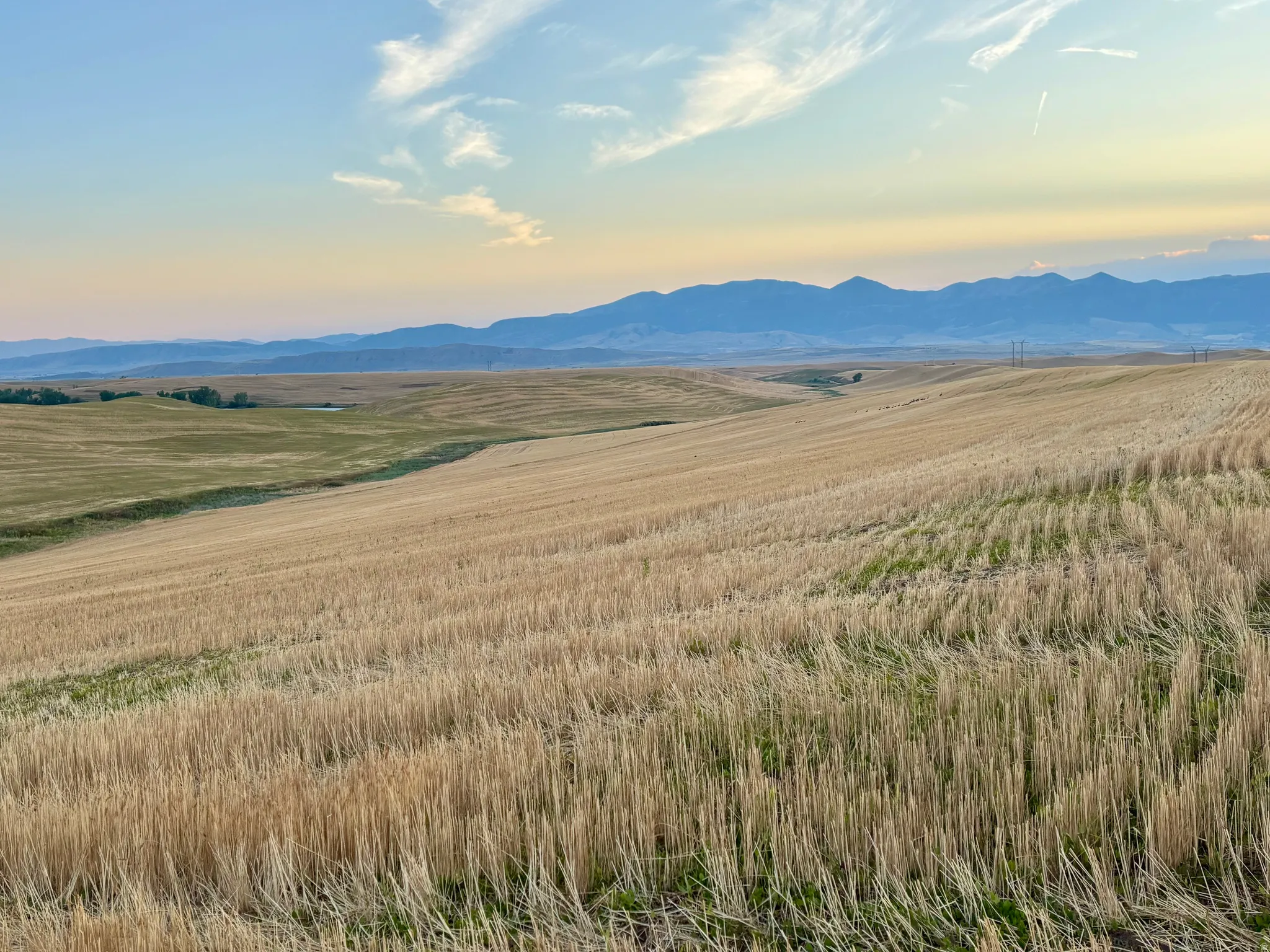 Expansive agricultural land featuring rolling fields, distant mountains, and open sky