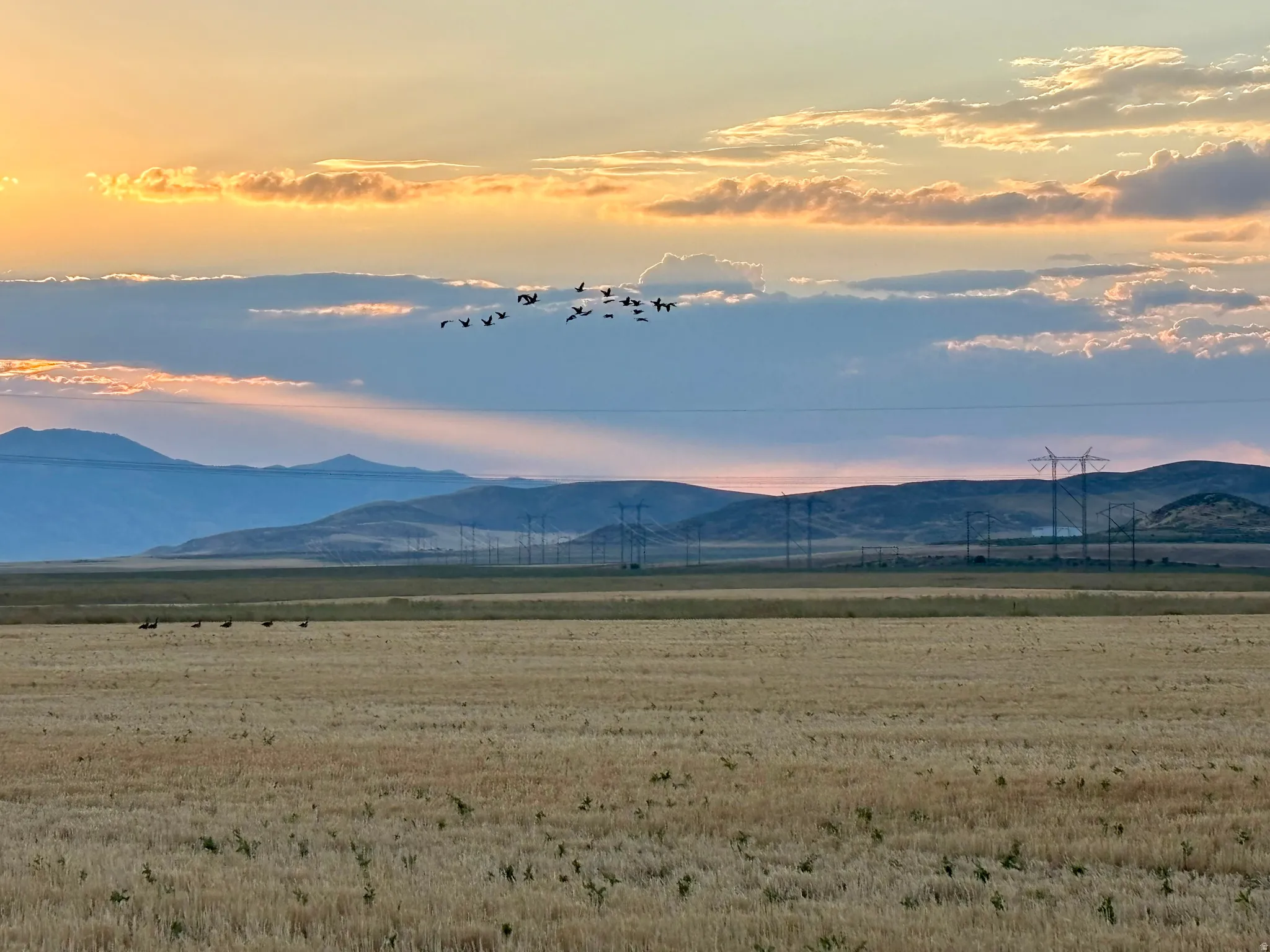 Expansive golden fields with distant mountains under a colorful sky