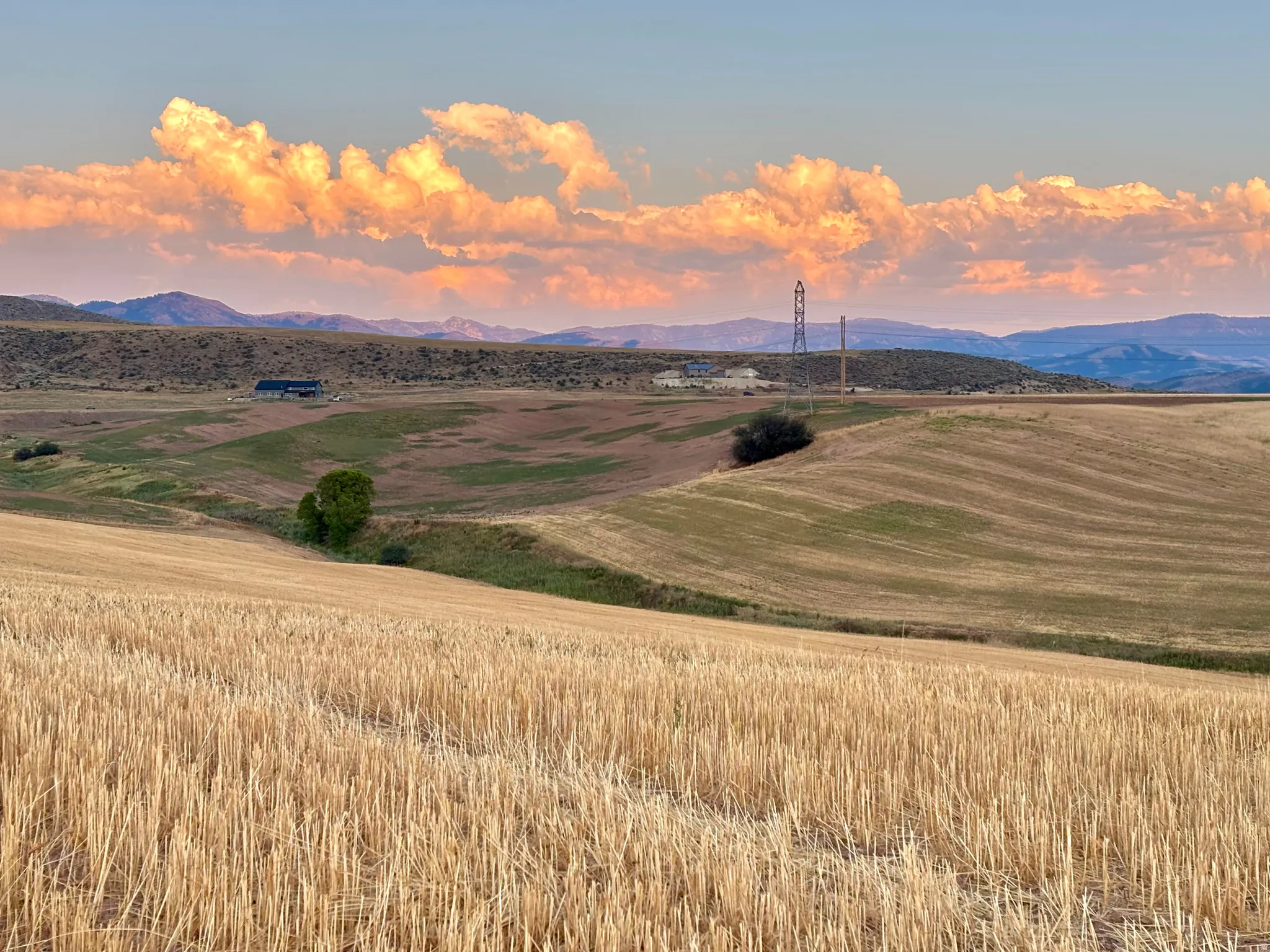 Expansive agricultural landscape featuring golden harvested fields and rolling hills