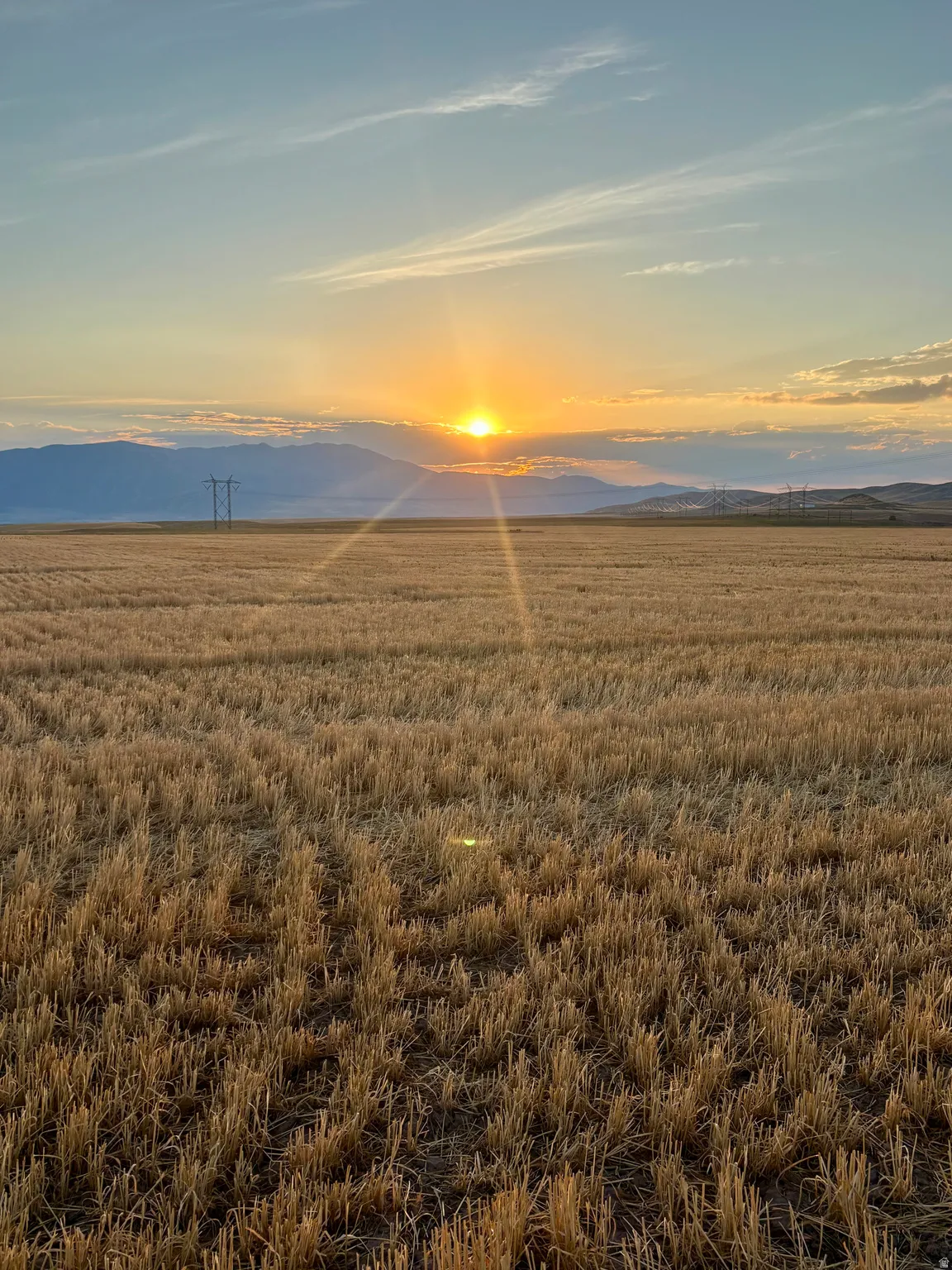 Expansive field of harvested crops with distant mountains under a dramatic sky