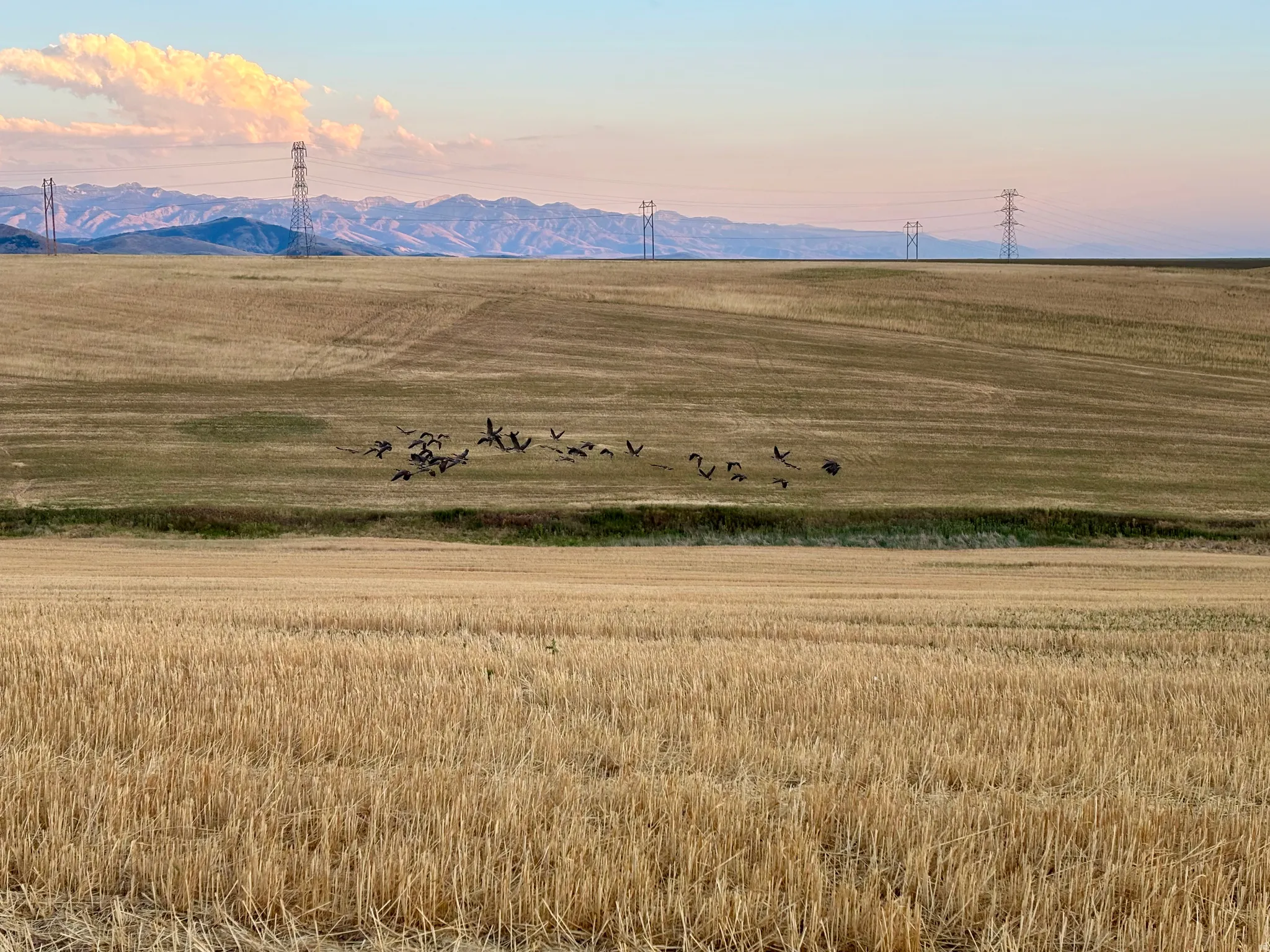 Expansive agricultural landscape featuring a golden field of harvested crops, distant rolling hills, and a mountainous backdrop