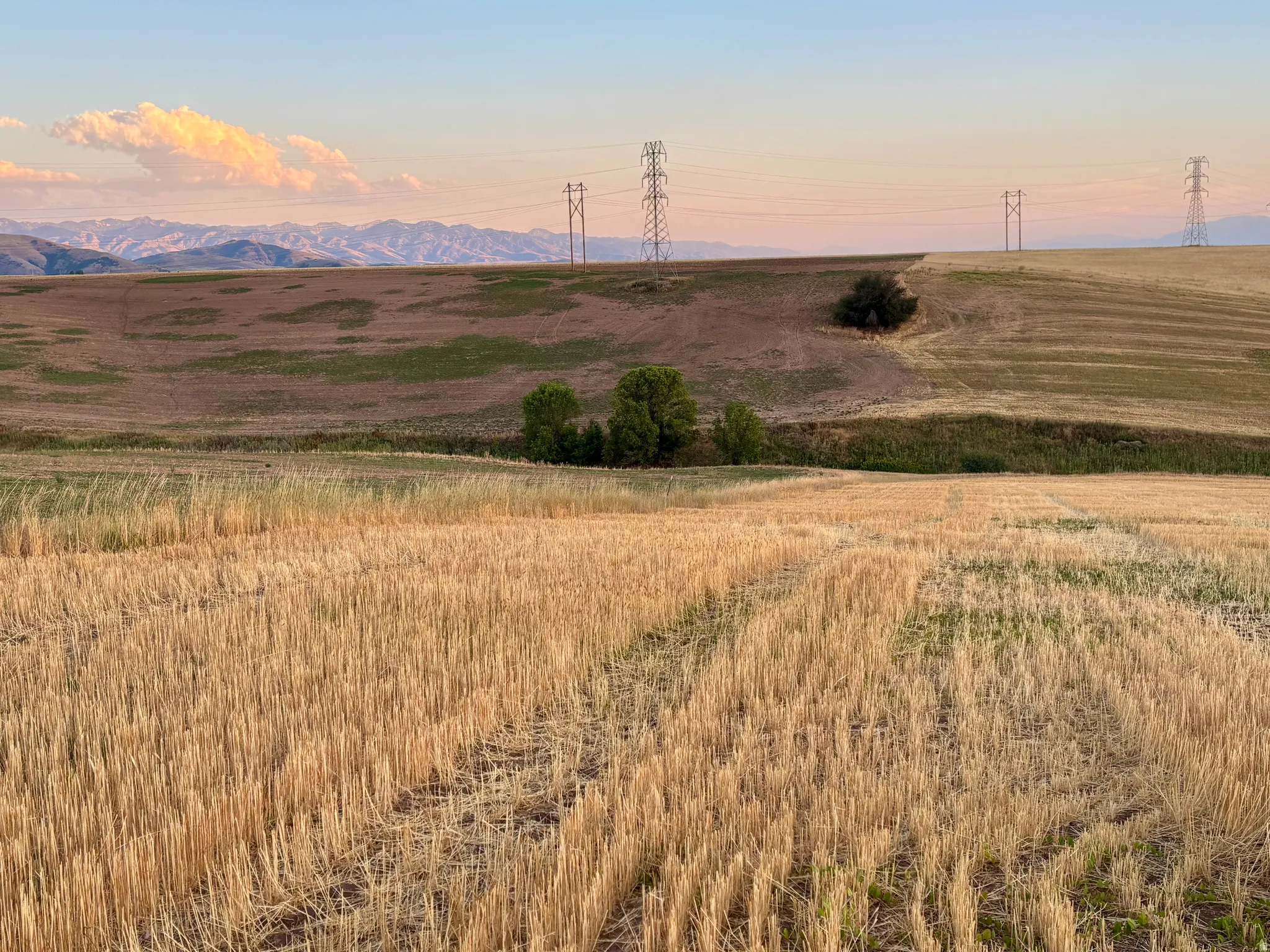 Expansive agricultural land featuring a field of cut crops in the foreground and rolling hills