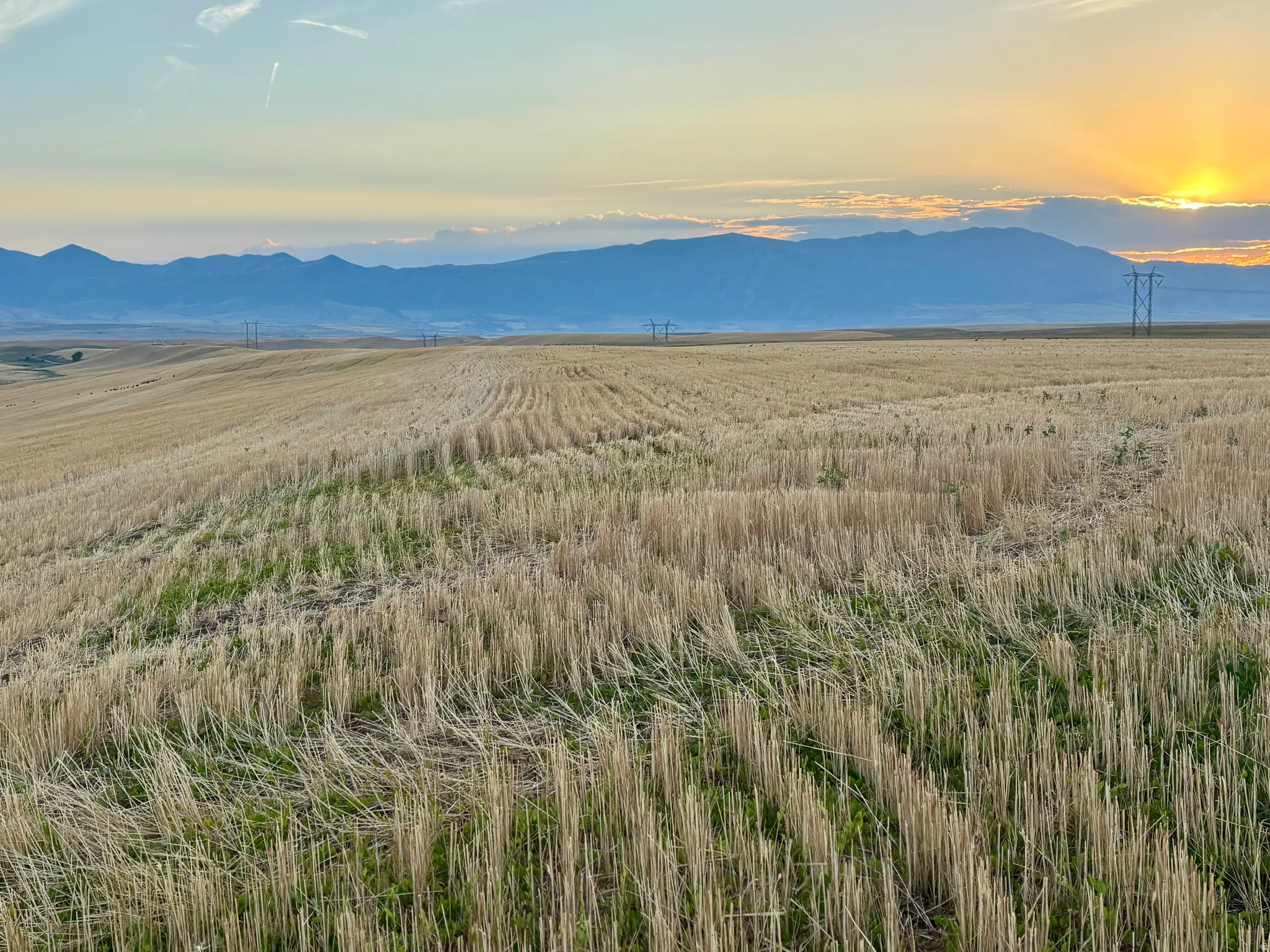 Expansive agricultural land featuring a field of cut crops