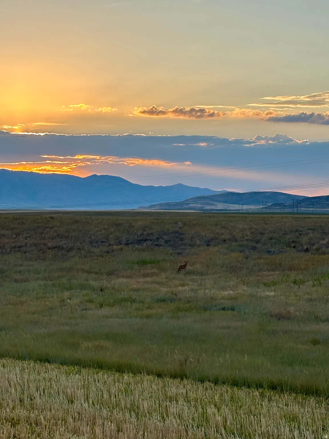 Expansive natural landscape featuring rolling hills and distant mountains under a vibrant sky with cloud formations