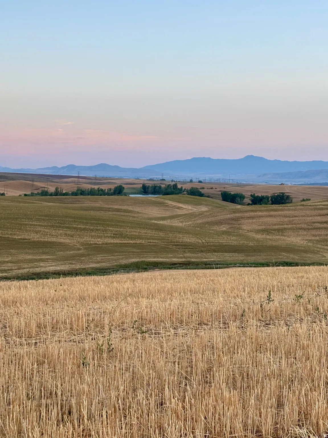 Rolling agricultural landscape featuring cultivated fields