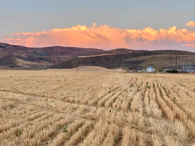 Expansive agricultural field featuring golden stubble rows extending towards distant hills under a scenic sky with dramatic clouds