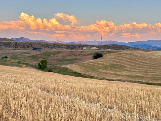 Expansive agricultural landscape featuring golden harvested fields and rolling hills