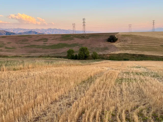 Expansive agricultural land featuring a field of cut crops in the foreground and rolling hills
