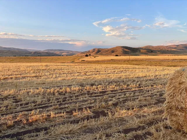 Expansive agricultural land featuring a golden harvested field and distant rolling hills