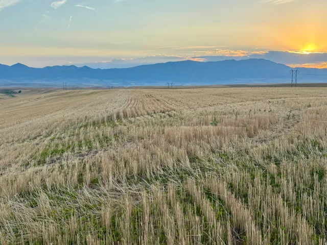 Expansive agricultural land featuring a field of cut crops