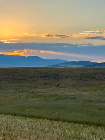 Expansive natural landscape featuring rolling hills and distant mountains under a vibrant sky with cloud formations
