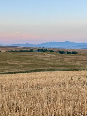 Rolling agricultural landscape featuring cultivated fields