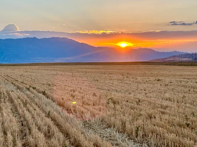 Expansive agricultural land featuring a harvested field, distant mountains, and wind turbines