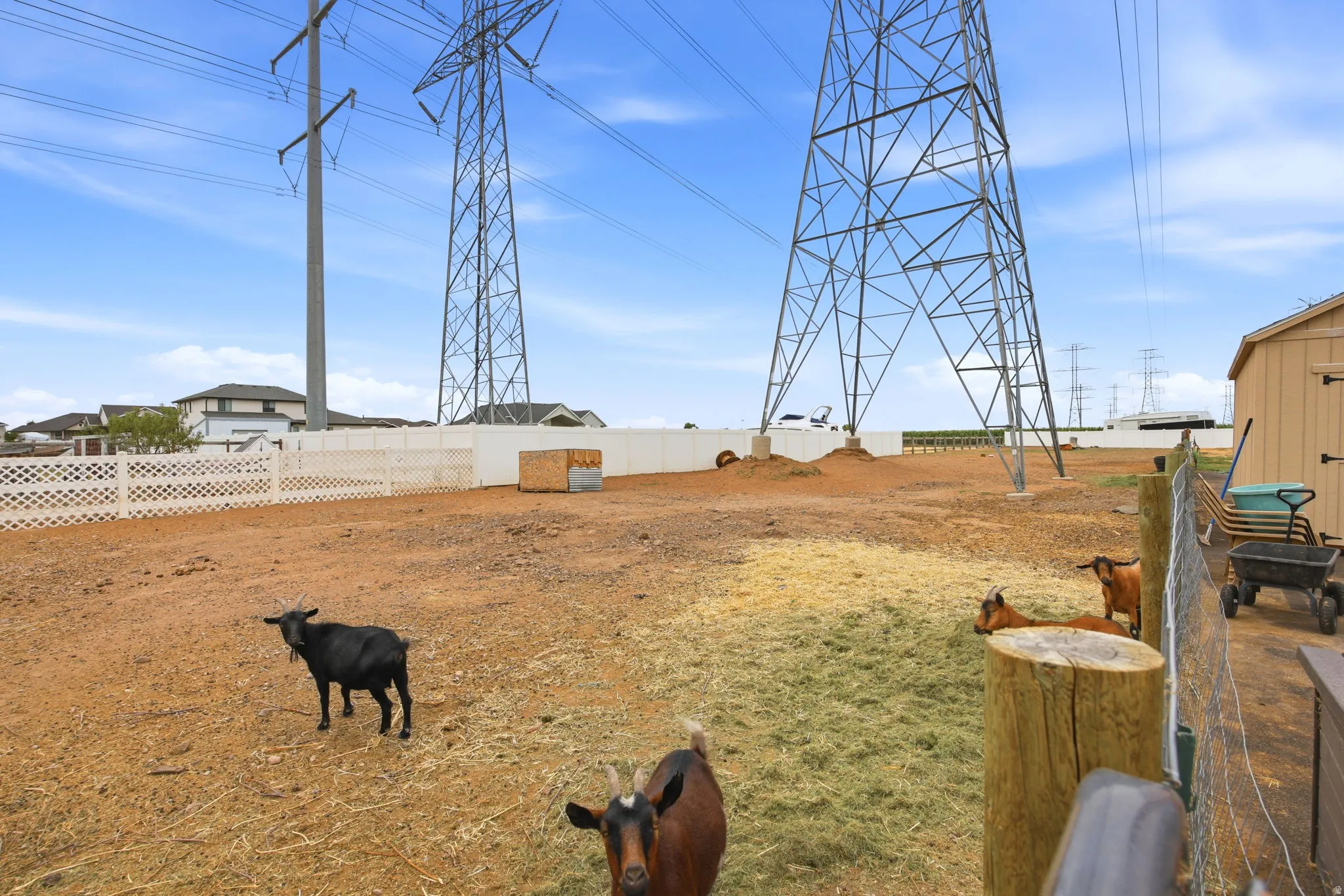 Expansive open-air enclosure featuring a light-colored wood fence and an adjacent shed structure