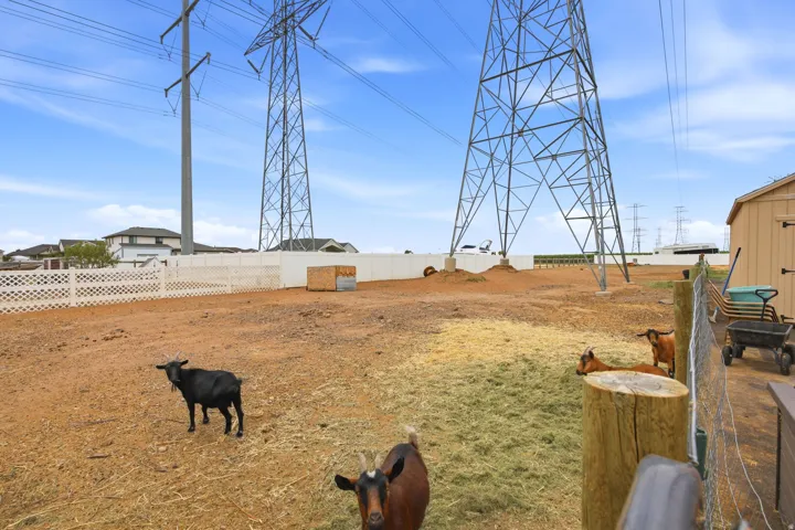Expansive open-air enclosure featuring a light-colored wood fence and an adjacent shed structure