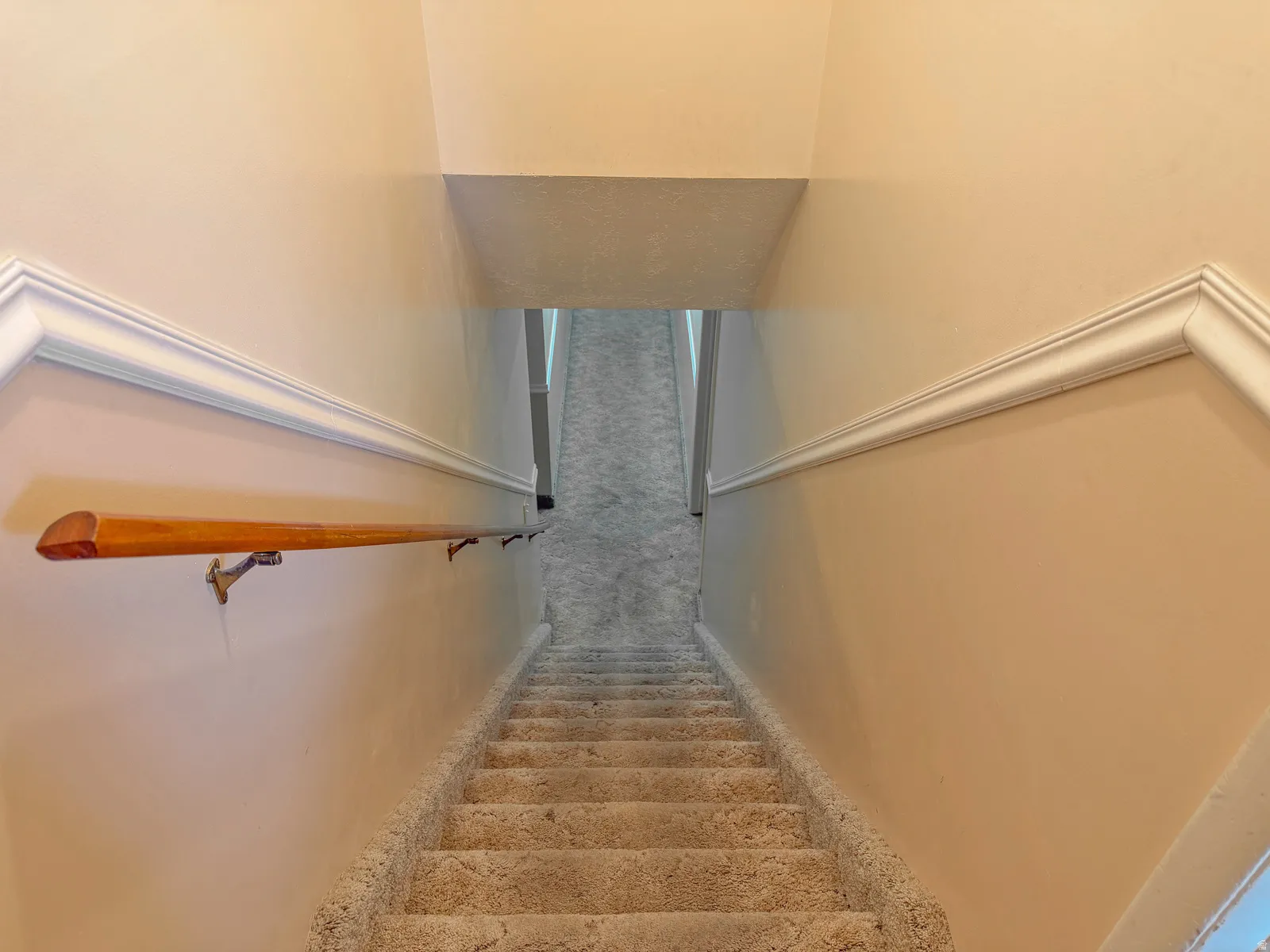 Carpeted staircase featuring a wood handrail, wall-mounted brackets, and decorative trim